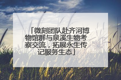微刻团队赴齐河博物馆群与泉溪生物考察交流，拓展永生传记服务生态