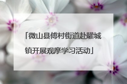 微山县傅村街道赴驩城镇开展观摩学习活动