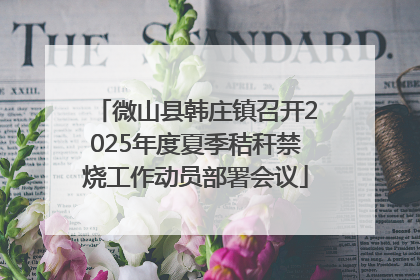 微山县韩庄镇召开2025年度夏季秸秆禁烧工作动员部署会议