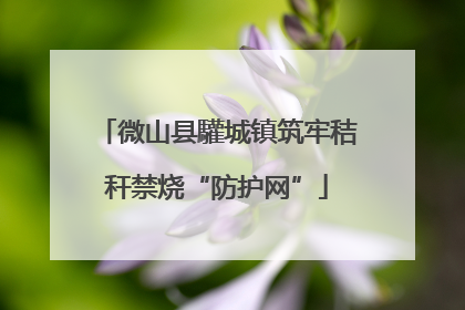 微山县驩城镇筑牢秸秆禁烧“防护网”