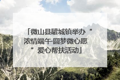 微山县驩城镇举办“浓情端午·圆梦微心愿”爱心帮扶活动