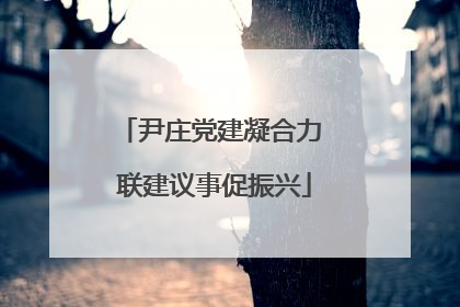 尹庄党建凝合力 联建议事促振兴