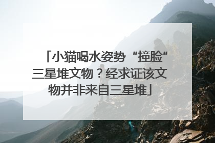 小猫喝水姿势“撞脸”三星堆文物？经求证该文物并非来自三星堆