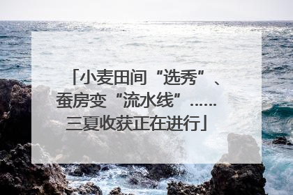 小麦田间“选秀”、蚕房变“流水线”……三夏收获正在进行