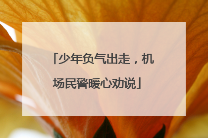少年负气出走，机场民警暖心劝说