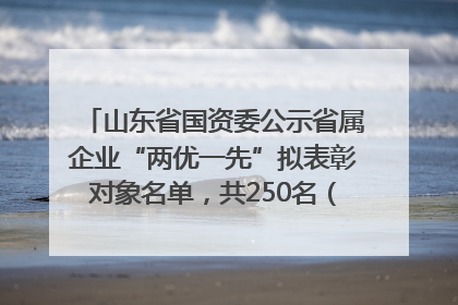 山东省国资委公示省属企业“两优一先”拟表彰对象名单，共250名（个）党员和党组织