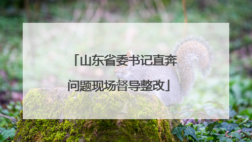 山东省委书记直奔问题现场督导整改