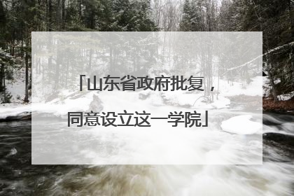 山东省政府批复，同意设立这一学院