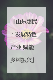 山东惠民：发展特色产业 赋能乡村振兴