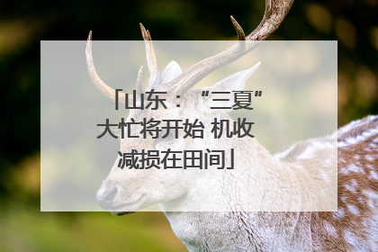 山东：“三夏”大忙将开始 机收减损在田间