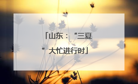 山东：“三夏”大忙进行时