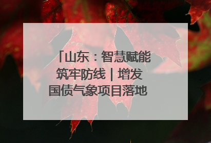 山东：智慧赋能 筑牢防线｜增发国债气象项目落地见效系列报道