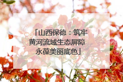 山西保德：筑牢黄河流域生态屏障 永葆美丽底色