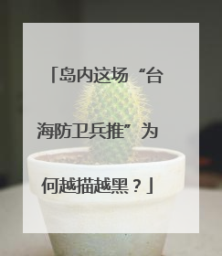 岛内这场“台海防卫兵推”为何越描越黑？