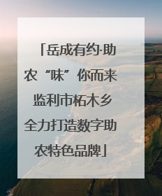 岳成有约·助农“味”你而来 监利市柘木乡全力打造数字助农特色品牌
