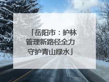 岳阳市：护林管理新路径全力守护青山绿水