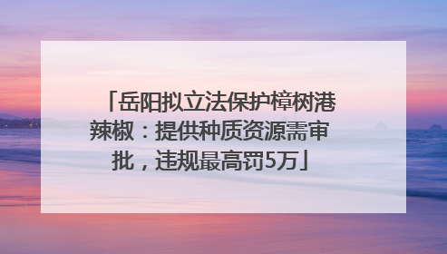 岳阳拟立法保护樟树港辣椒：提供种质资源需审批，违规最高罚5万