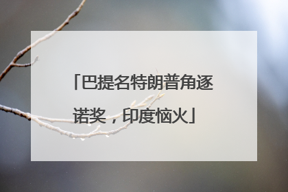 巴提名特朗普角逐诺奖，印度恼火