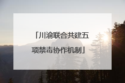 川渝联合共建五项禁毒协作机制
