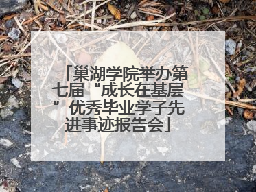 巢湖学院举办第七届“成长在基层”优秀毕业学子先进事迹报告会
