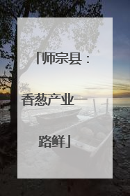 师宗县：香葱产业一路鲜