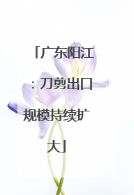 广东阳江：刀剪出口规模持续扩大