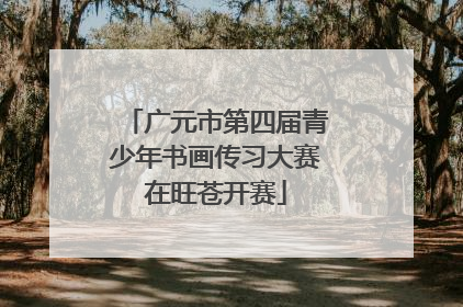 广元市第四届青少年书画传习大赛在旺苍开赛