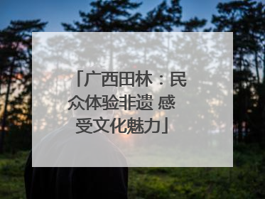 广西田林：民众体验非遗 感受文化魅力