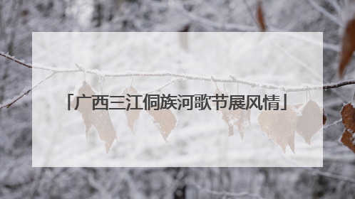 广西三江侗族河歌节展风情