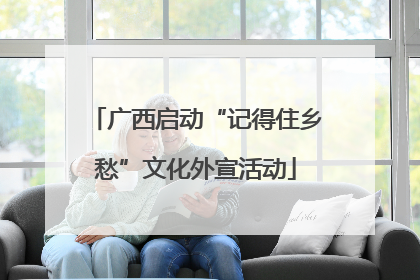 广西启动“记得住乡愁”文化外宣活动