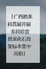 广西恐龙科普展开展 多具珍贵恐龙化石骨架标本集中亮相