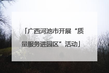 广西河池市开展“质量服务进园区”活动
