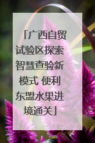 广西自贸试验区探索智慧查验新模式 便利东盟水果进境通关