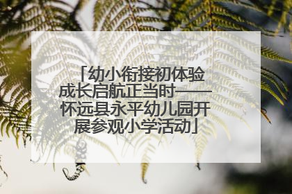 幼小衔接初体验 成长启航正当时——怀远县永平幼儿园开展参观小学活动
