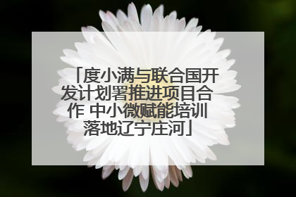 度小满与联合国开发计划署推进项目合作 中小微赋能培训落地辽宁庄河