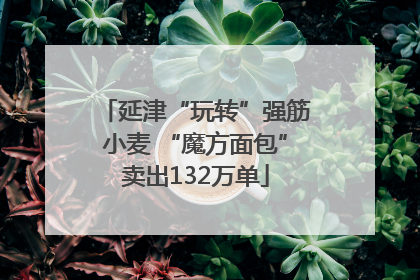 延津“玩转”强筋小麦 “魔方面包”卖出132万单