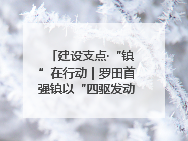 建设支点·“镇”在行动｜罗田首强镇以“四驱发动”践行首镇担当