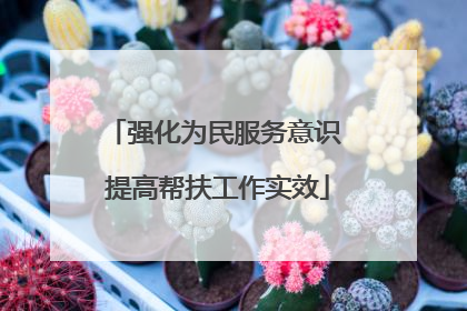 强化为民服务意识 提高帮扶工作实效