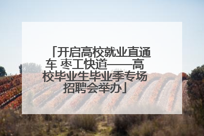 开启高校就业直通车 枣工快道——高校毕业生毕业季专场招聘会举办