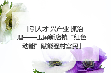 引人才 兴产业 抓治理——玉屏新店镇“红色动能”赋能强村富民