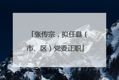 张传宗，拟任县（市、区）党委正职