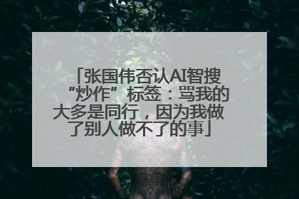 张国伟否认AI智搜“炒作”标签：骂我的大多是同行，因为我做了别人做不了的事