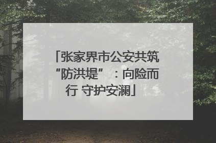 张家界市公安共筑“防洪堤”：向险而行 守护安澜