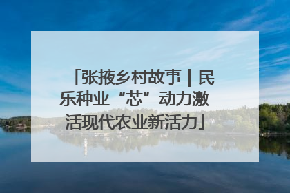 张掖乡村故事｜民乐种业“芯”动力激活现代农业新活力