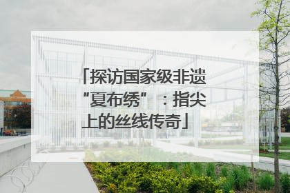 探访国家级非遗“夏布绣”：指尖上的丝线传奇