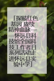 探赜红色基因 赓续精神血脉——怀远县科技馆全国科技工作者日系列活动走进怀远县实验中学