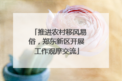 推进农村移风易俗，郑东新区开展工作观摩交流