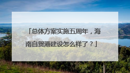 总体方案实施五周年，海南自贸港建设怎么样了？