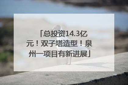 总投资14.3亿元！双子塔造型！泉州一项目有新进展