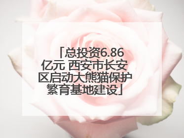 总投资6.86亿元 西安市长安区启动大熊猫保护繁育基地建设